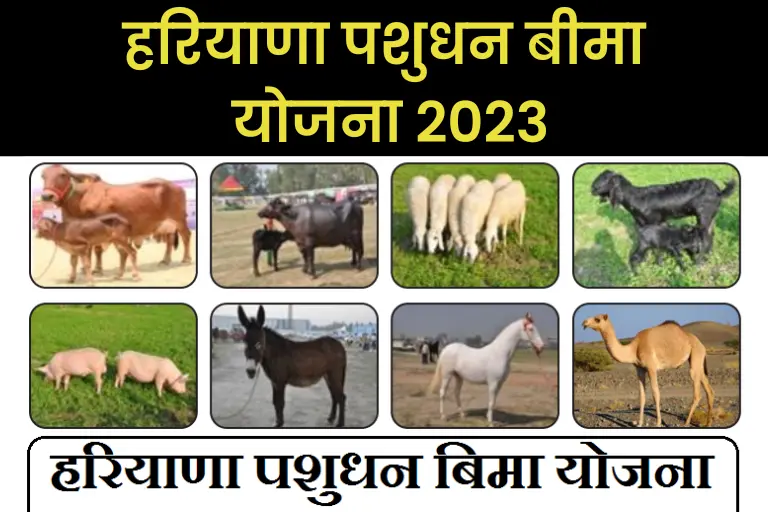 (ऑनलाइन आवेदन) हरियाणा पशुधन बीमा योजना 2023: Haryana Pashudhan Bima Yojana